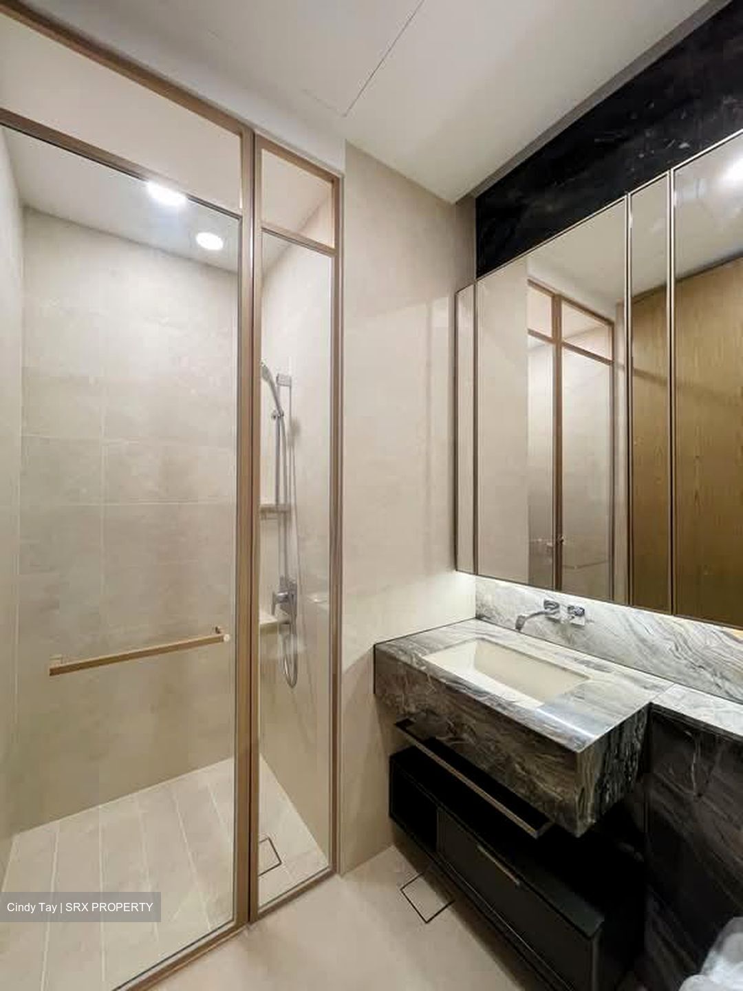 The Avenir (D9), Condominium #584005781